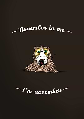 November Cat