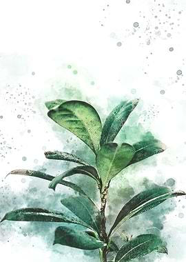 Watercolor Plant