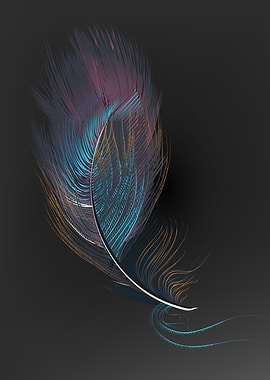 Multicolor feathers