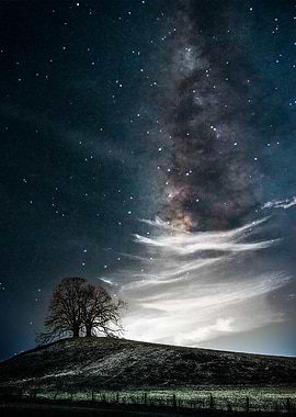 Tree and milky way