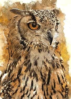 Watercolour Owl