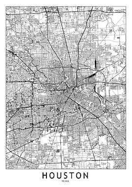 Houston White Map
