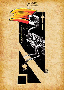 Hornbil Skeleton