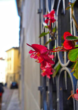 Nature Is Everywhere