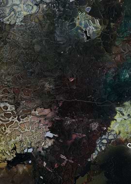 Cosmic Roots Macro II