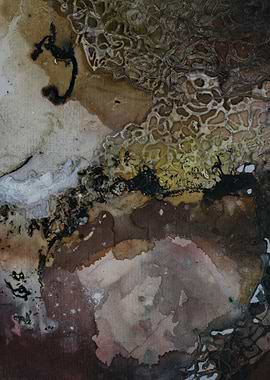 Cosmic Roots Macro VII