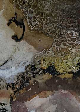 Cosmic Roots Macro IV