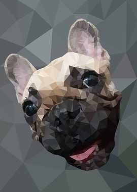 French Bulldog Poly
