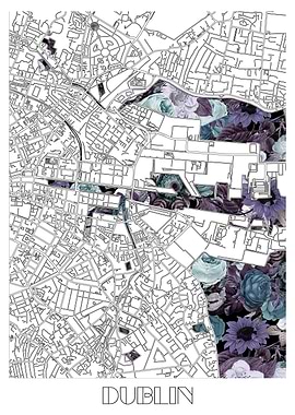 dublin city map floral