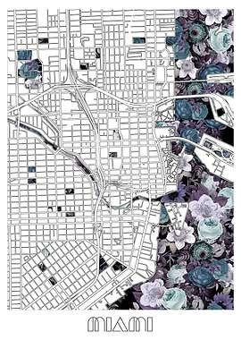 miami city map floral