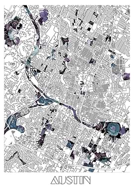 austin city map floral