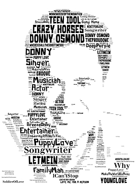 Donny Osmond Teen Idol