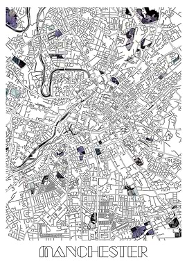 manchester city map floral