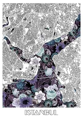istanbul city map floral
