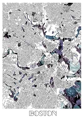 boston city map floral
