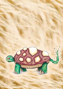 Turtle Enigma
