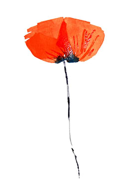 Lonely Poppy