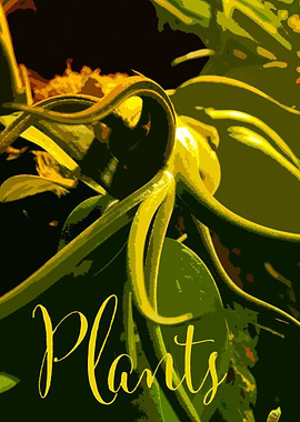 Plants
