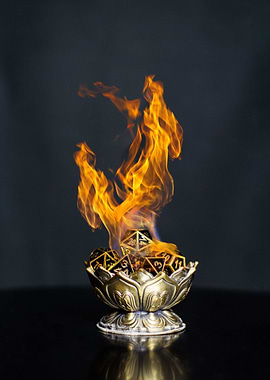 Lotus Fire Golden Dice