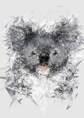 crystal koala