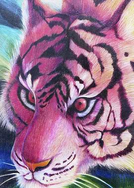 Pink Tiger