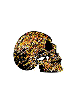 Fire skull icon poster