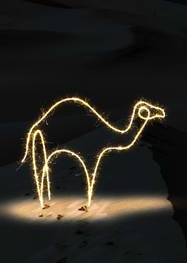 sparkling camel
