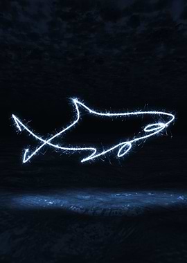 sparkling shark
