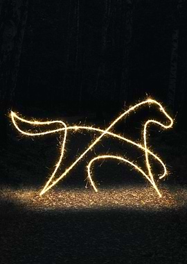 sparkling horse