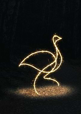 sparkling duck