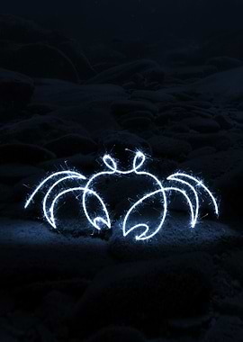 sparkling crab