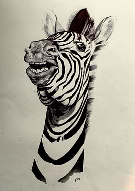 Zebra