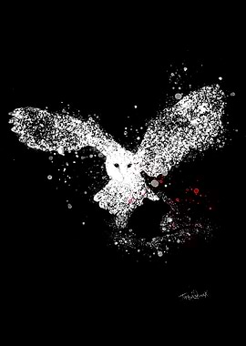 Animals Owl and Mouse Dark