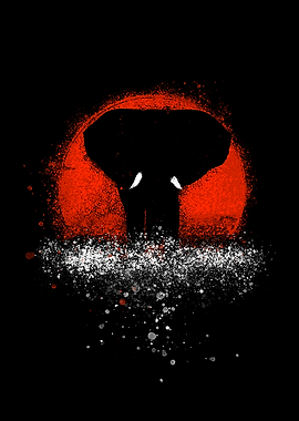 Animals Elephant Sunset