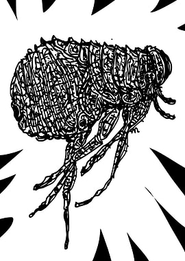 The Flea