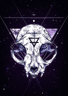 Skull Cat