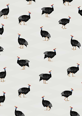 Guinea fowl Birds