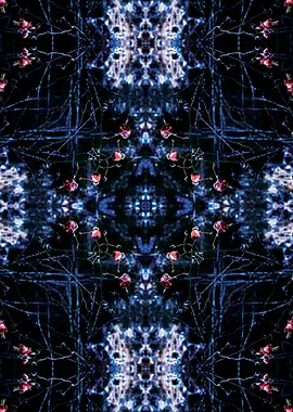 kaleidoscopic winter