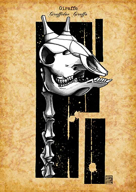 Giraffe Skull