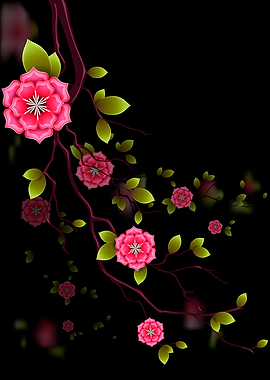 Japanise sacura flowers