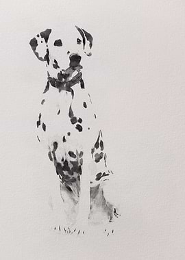 Dalmatian dog watercolor