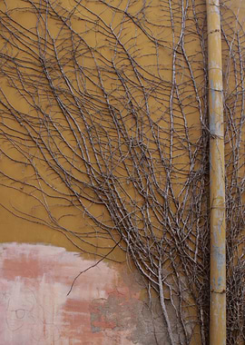 Reaching for the top