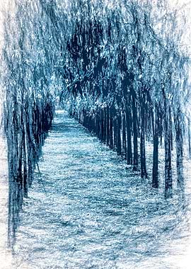 tree in a row in autumn