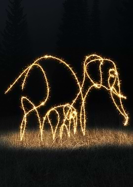 sparkling elephant