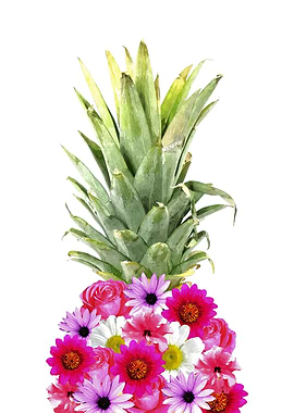 Pineapple Flowers
