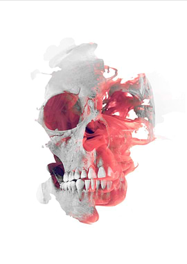 Skull Smoke 2