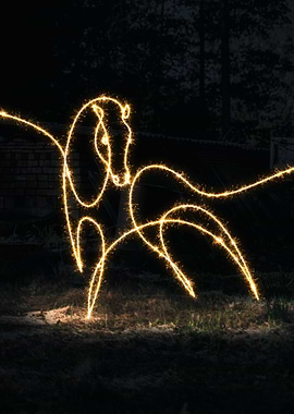 sparkling horse