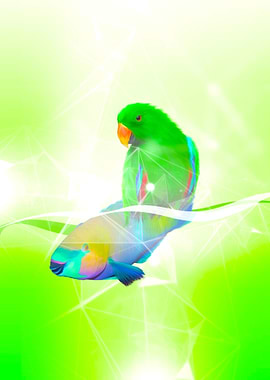 Parrot Bird and Fish