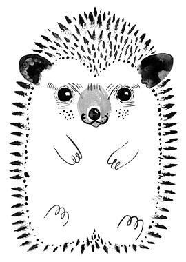 Hedgehog illustration