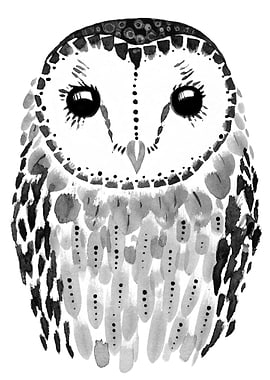 Barn owl illustration